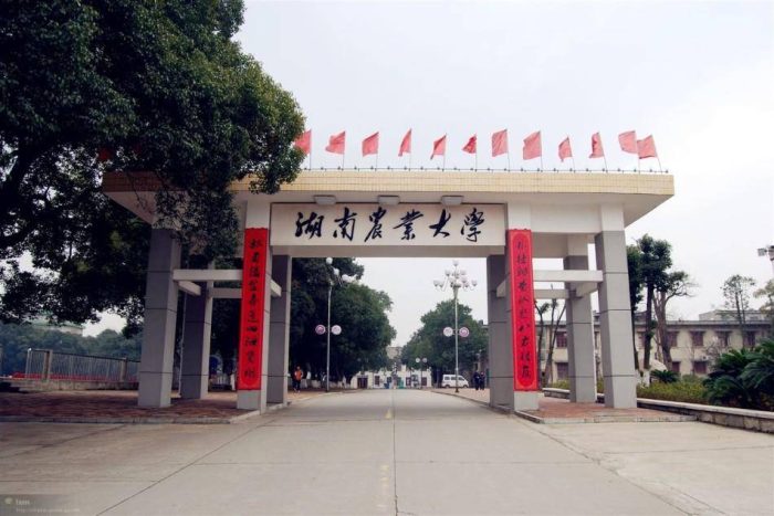 高校2023年两院院士校友数排名：南京大学第4，湖南农业大学优异-1