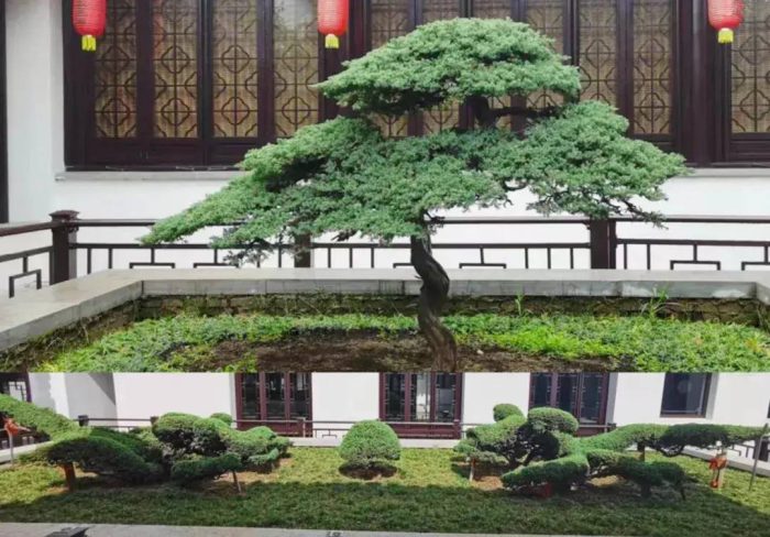 中国县城概况：沭阳——江苏人口第一大县！-1
