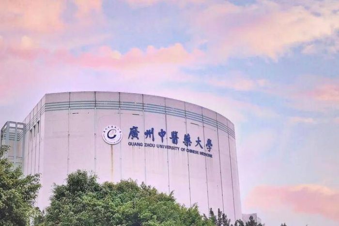 全国中医药大学2024年最新排名：北京中医药大学夺冠，南中医排第4名-1