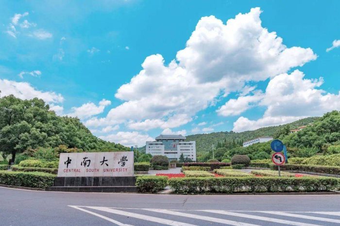 中国高校2023世界大学学术排名：191所大学上榜，中南大学进前10-1