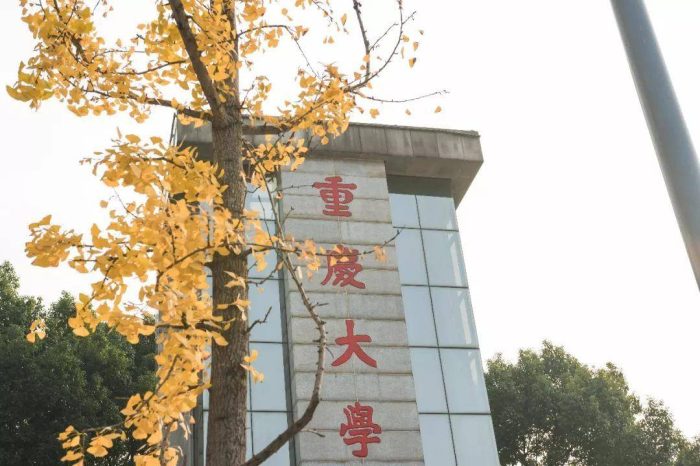 重庆市大学2023档次排名：重庆大学持续引领，西南政法大学第3档-1