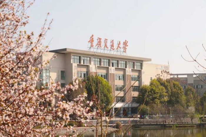 重庆市大学2023档次排名：重庆大学持续引领，西南政法大学第3档-1