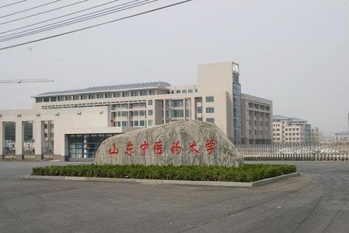 中医学2023年大学排名：北京中医药大学夺冠，山东中医药大学第4-1