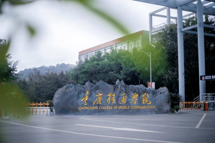民办大学2024实力排名：重庆移通学院夺冠，吉林外国语大学排第7-1