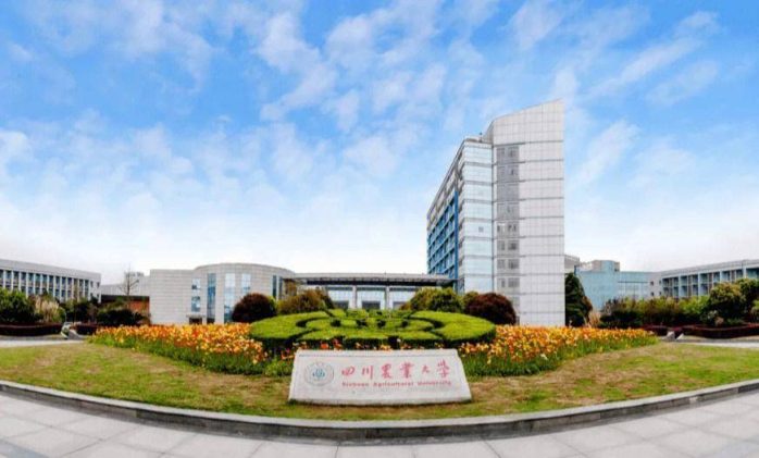 四川省高校2023年档次排名：57所大学分9档，四川农业大学居第3档-1