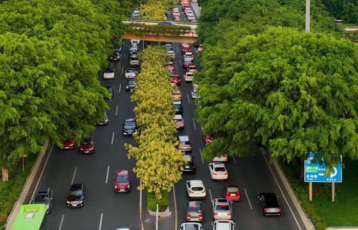 中国最“干净”的10座城市，就连老外们也赞不绝口，到底是哪些？-1