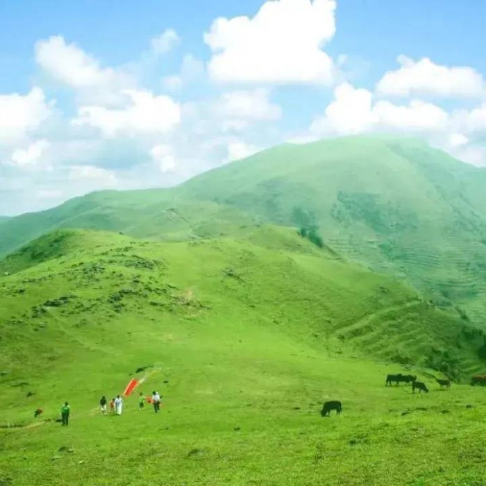中国县城概况:信宜——山水之城，南玉之都！-1