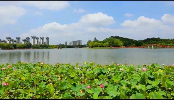 中国县城概况:鹿邑——老子故里，道家之源！-1
