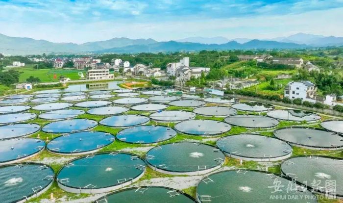 中国市辖区概况:徽州——烟雨徽州，诗意田园！-1