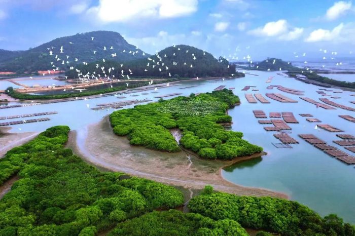 中国县城概况:阳西——粤西明珠，山海阳西！-1