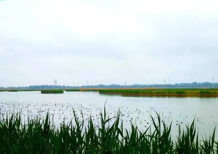 中国县城概况:永宁——沃野千里，和美永宁！-1