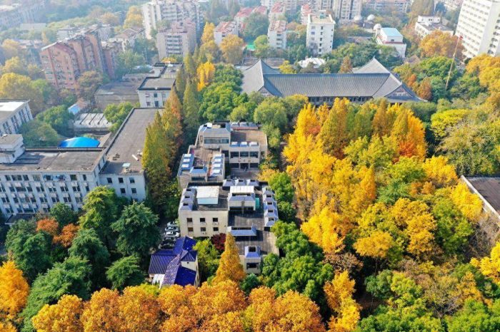 2024年1-6月长三角城市财政收入，苏州表现良好，常州增长出色-1