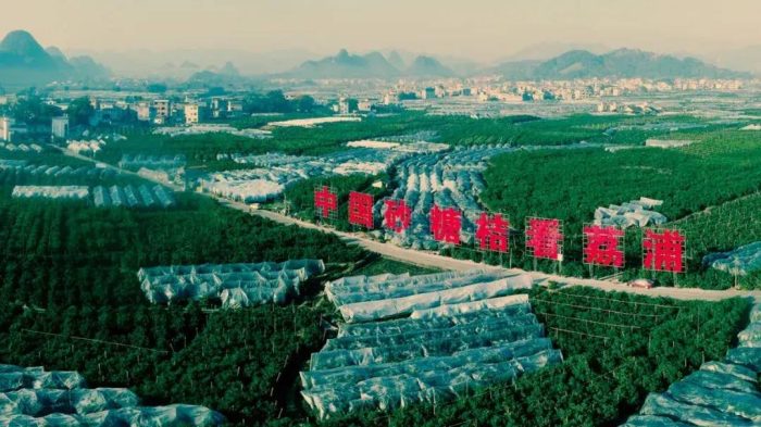 中国县城概况：荔浦——衣架之都，砂糖橘之乡！-1