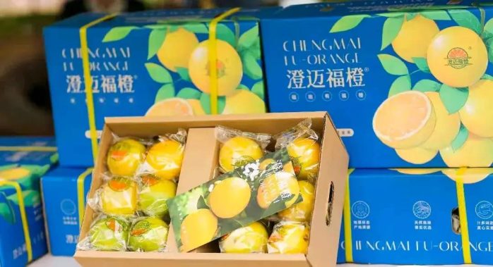 中国县城概况：澄迈——富硒福地，长寿澄迈！-1
