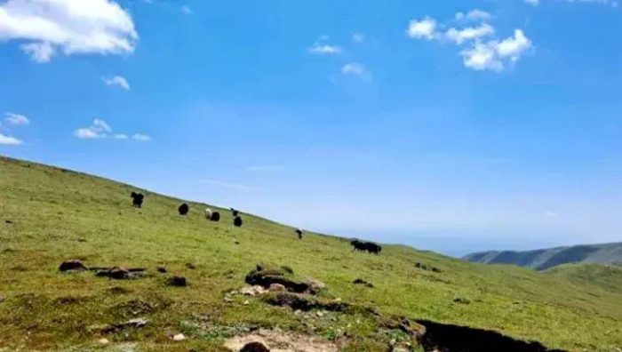 中国县城概况：临洮——洮河明珠，大美临洮！-1