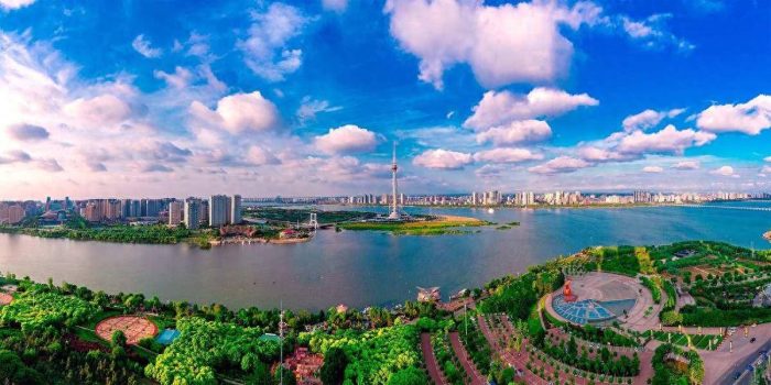 2024年1-7月山东各地财政收入，青岛总量近九百亿，聊城增速第一-1