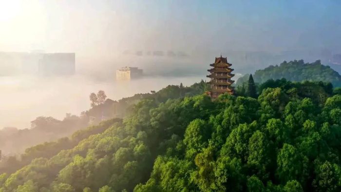 中国县城概况：资中——中国血橙之乡！-1
