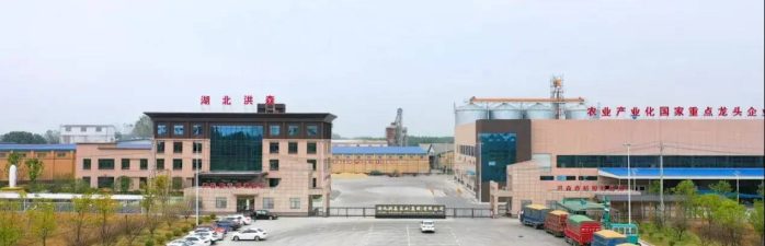 中国县城概况：沙洋——中国菜籽油之乡！-1