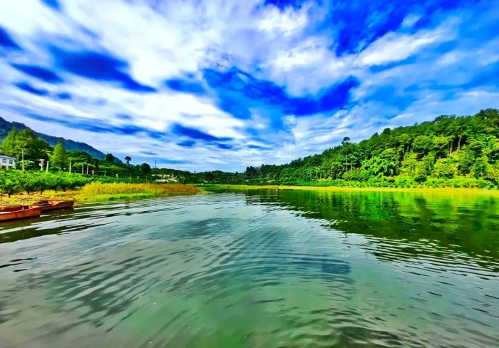 中国县城概况：蒲江——绿色蒲江，天然氧吧！-1