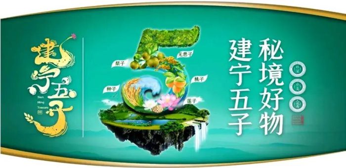 中国县城概况：建宁——清新花乡，福源建宁！-1