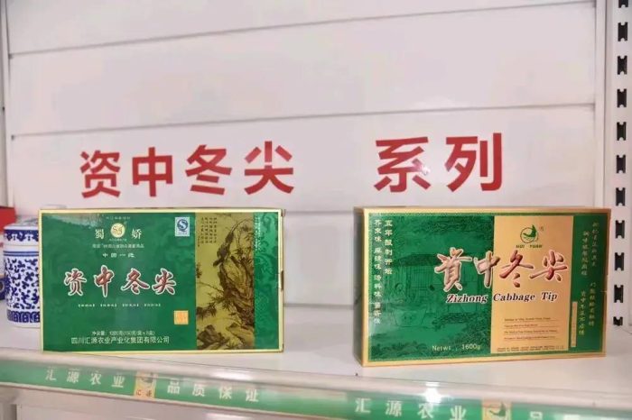 中国县城概况：资中——中国血橙之乡！-1