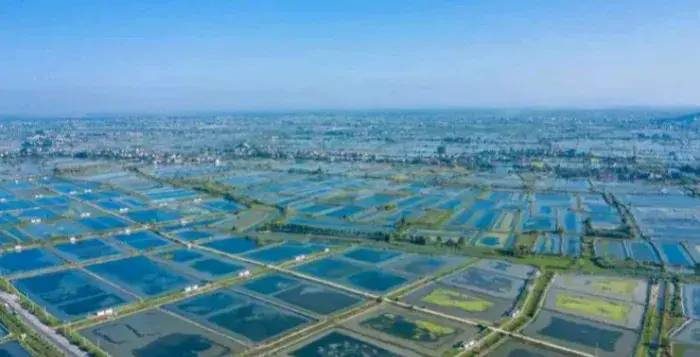 中国县城概况：无为——皖中鱼米之乡！-1