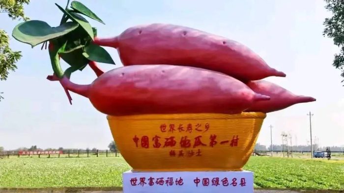 中国县城概况：澄迈——富硒福地，长寿澄迈！-1