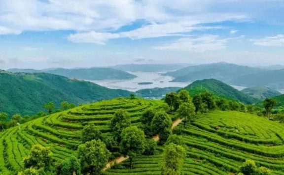 中国县城概况:福鼎——有福之城，鼎盛之地！