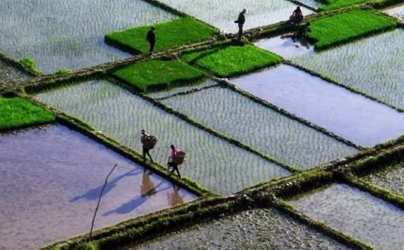 中国县城概况：文县——陇上江南，仙境文县！