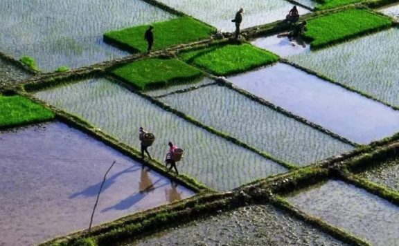 中国县城概况:文县——大熊猫之乡，甘肃小江南！