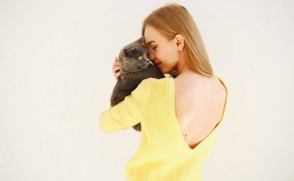 选择猫爬架还要考虑高度?怎么帮猫咪选择合适高度的猫爬架