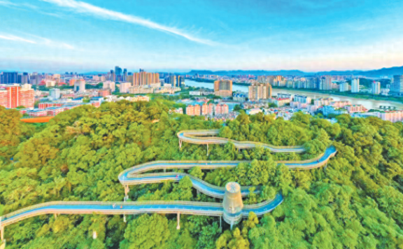 福建财政收入2024年:2024年1-4月福建各地财政收入,泉州表现稳定,宁德增速一骑绝尘