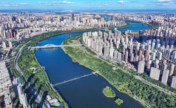 2024年1-7月沈阳各地财政收入,铁西总量第一,新民恢复有力